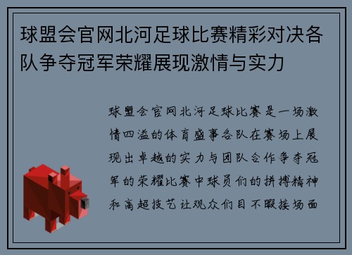球盟会官网北河足球比赛精彩对决各队争夺冠军荣耀展现激情与实力